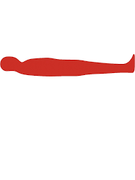 Saddam Hussein Hideout Silhouette